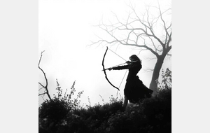 LE TIR A L'ARC ..... Sept bonnes raisons de le pratiquer 