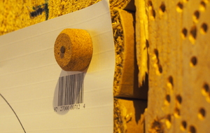 CONCOURS JEUNES CHALONS EN CHAMPAGNE 6/12/25