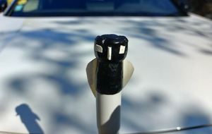 TIR A L'OISEAU OU TIR DU ROY