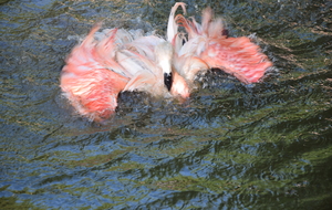 LE CLOS DE LHERY CE JOUR 23.07