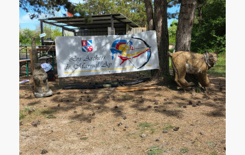 TOUS BLASONS 25 &amp; 26 AVRIL 2026